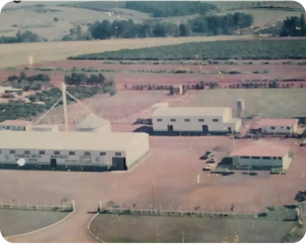 Um salto de crescimento — 1989